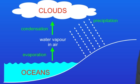 <p>When the water vapour cools, it condenses to form clouds, and the water in clouds then falls to the ground as precipitation (rain / snow / hail / sleet). All forms of precipitation contain fresh water.</p>