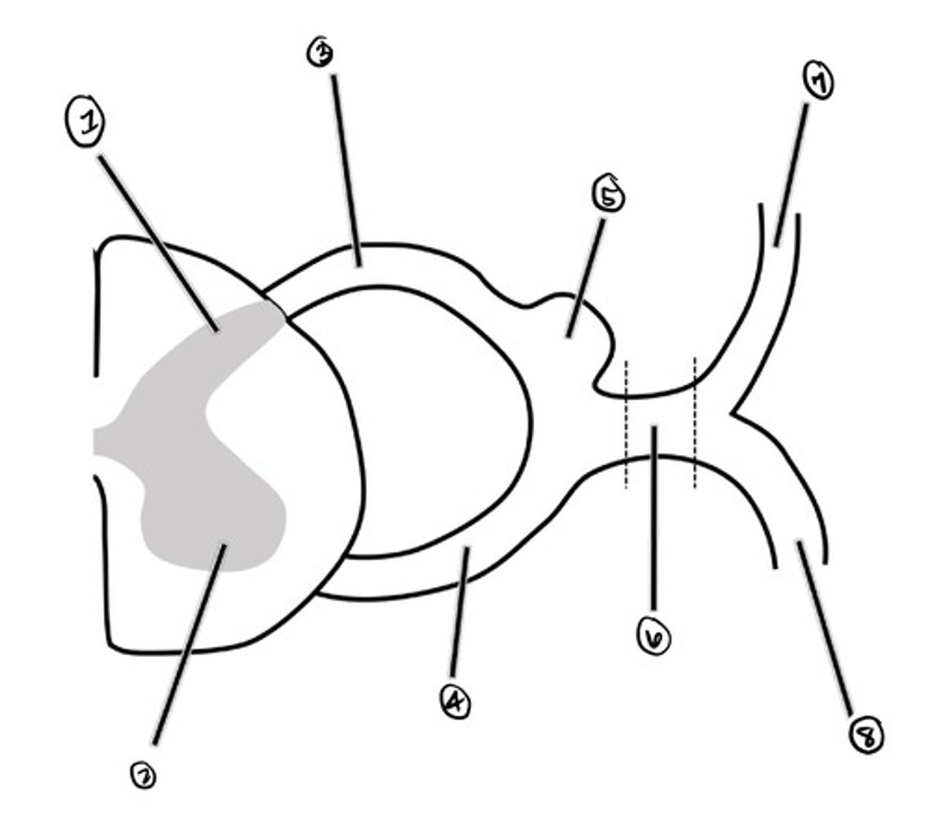 <p>what is 7</p>