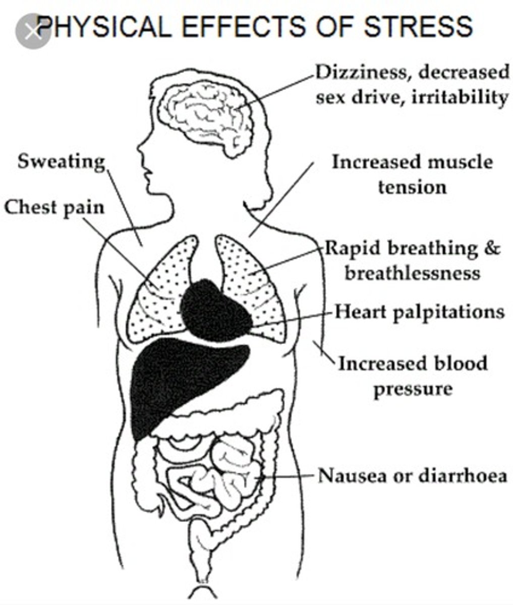 <p>Physiological - accelerated heart rate, headaches, or gastrointestinal problems.</p><p>Cognitive - difficulty concentrating or making decisions.</p><p>Behavioral - drinking alcohol, smoking, or taking actions directed at eliminating the cause of stress.</p>