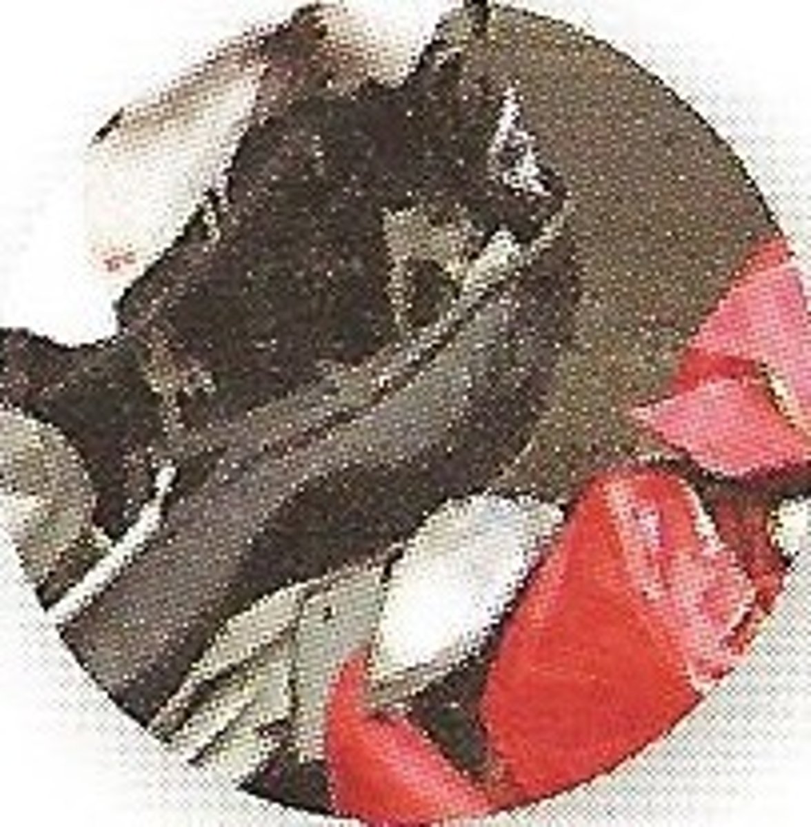 <p>серьезный, важный</p>