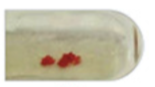 <p><strong>[GRADE THE REACTION]</strong></p>