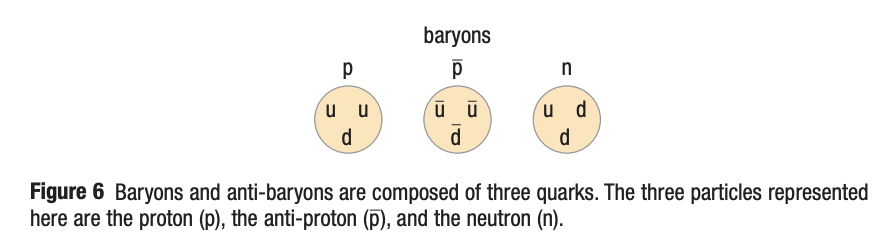 <p>baryons are hadrons composed of 3 quarks. this includes protons and neutrons. the quark composition of a proton is 2 quarks up and 1 down. the total charge on the proton is the sum of the charges on the quarks</p>