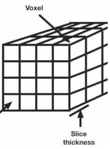 <p>(1) most common 3D volume reconstruction</p><p>(2) 3-D picture element (pixel) with a length, width, and thickness</p>