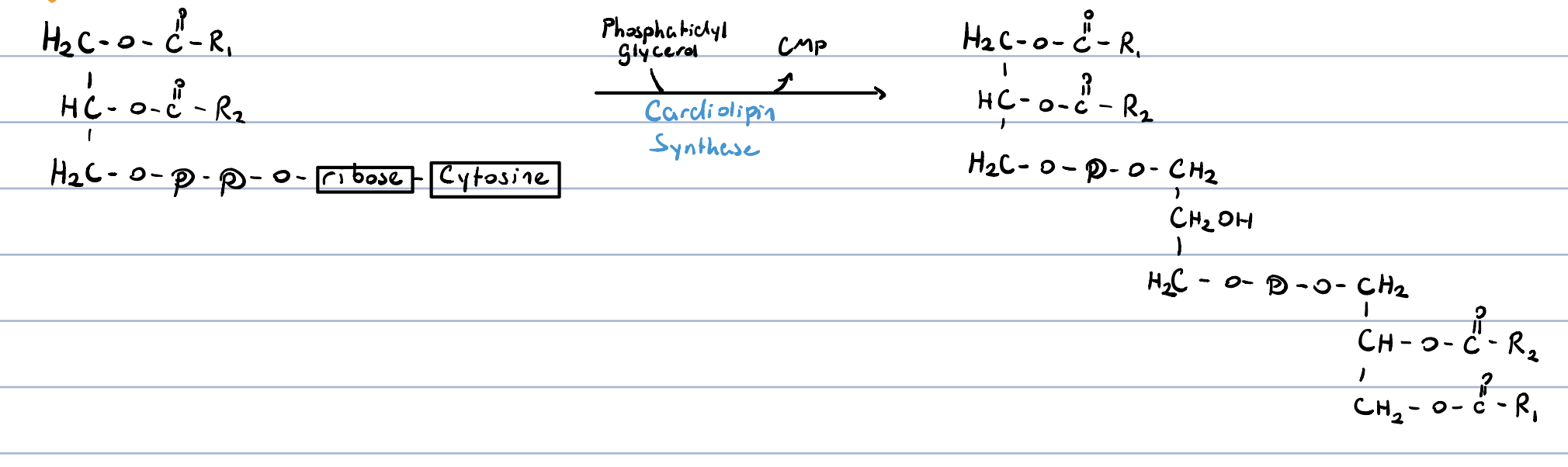 knowt flashcard image
