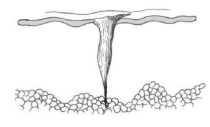 <p>Defecto lineal en la epidermis o a través de ella hacia la dermis</p><p>En cojinetes plantares se asocia a pénfigo foliáceo o dermatitis necrótica superficial</p>