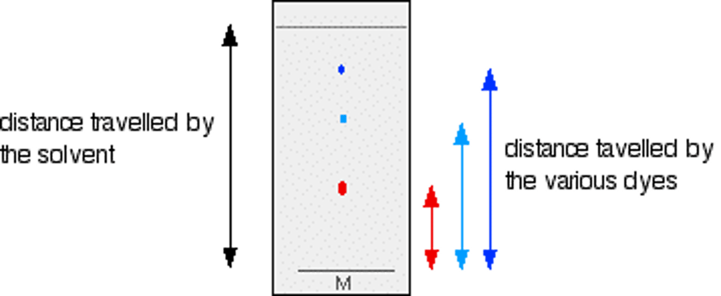 <p>- Rf value = distance moved by spot / distance moved by solvent front</p><p>- Compare Rf value to published value</p>