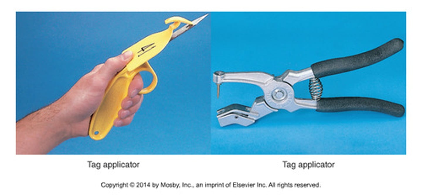 <p>To apply ear tags to cattle, sheep, and goats</p>