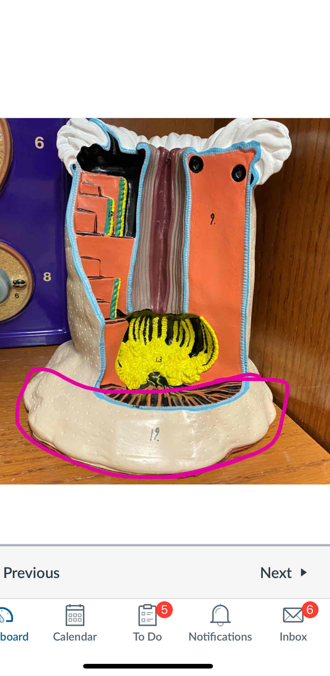 knowt flashcard image
