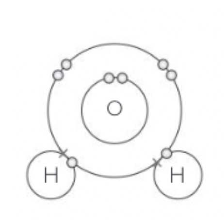 <p>Hydrogen bonds</p>