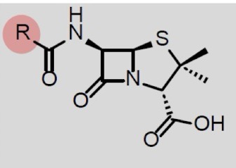 <p>penam core structure (=beta-lactam + fused thiazolidine)</p>