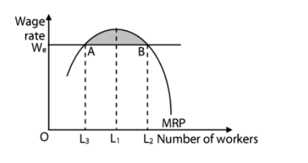 <p><span style="background-color: transparent;"><span>The law of diminishing returns means the MRP falls after a given output, L1. The MRP shows, in a perfect market, the equilibrium level of employment.</span></span></p>