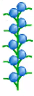 <p>similar to a raceme except that the flowers are sessile, lacking a pedicel</p>
