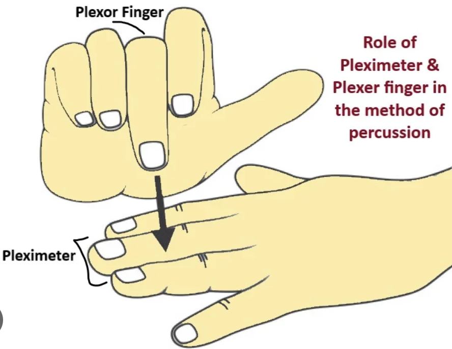 <p>One of the types of percussion</p><p>Commonly ‬‭used ‬‭method,‬‭ detects ‬‭density‬ of underlying structure‬</p><p>Putting pressure to listen‬</p><p><em>the </em><strong><em>pleximeter</em></strong><em> is the finger (usually the </em><strong><em>middle finger of the non-dominant hand</em></strong><em>) placed firmly on the body, acting as a stable surface to receive the percussion strike, while the </em><strong><em>plexor</em></strong><em> is the finger (typically the </em><strong><em>middle finger of the dominant hand</em></strong><em>) that delivers the controlled tap</em></p>
