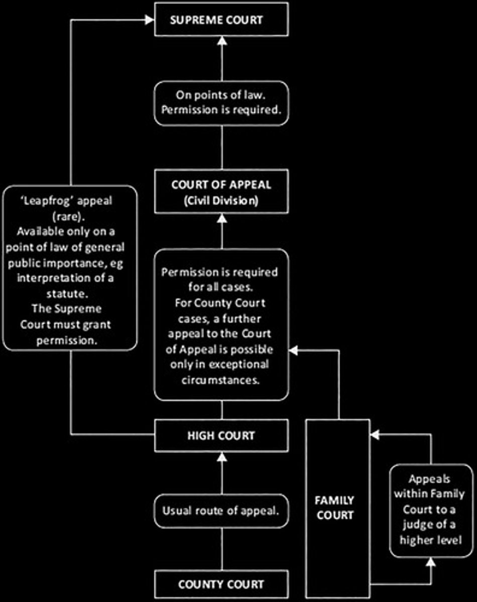 <p>Review trial decisions, multiple judges (odd number panel). Includes Alberta Court of Appeal, Supreme Court of Canada.</p>