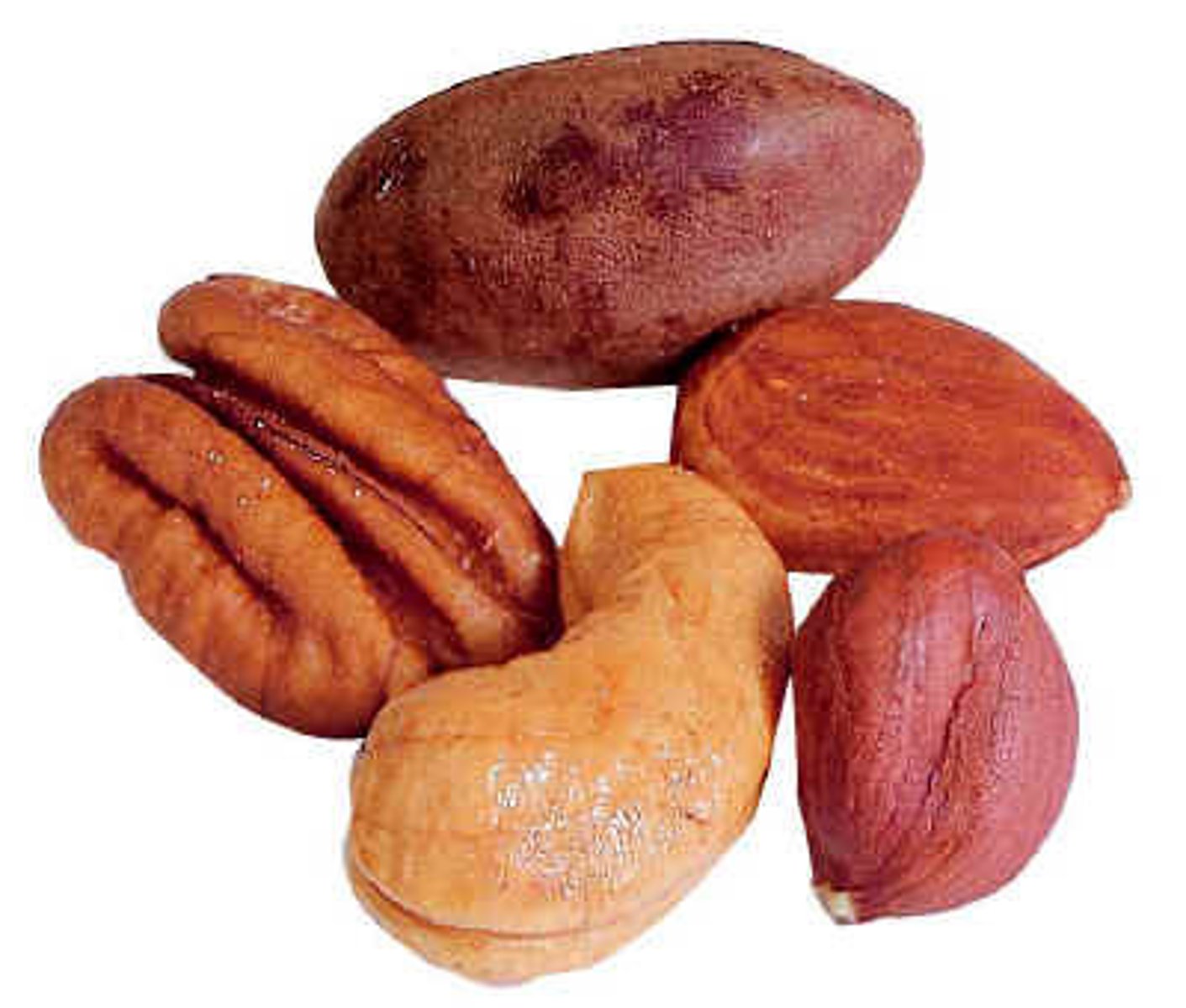 <p>Small hard-shelled fruits, often high in fat and protein.</p><p>• Collocations: tree nuts, nut allergy</p><p>• IELTS EX: Nuts are both nutritious and convenient as snacks or ingredients.</p>