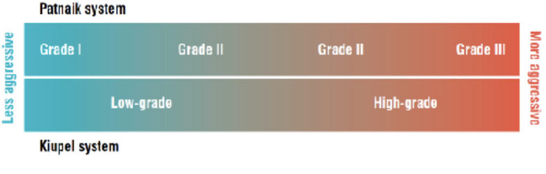 <p>3-tier system: Grade 1 (low), Grade 2 (intermediate), Grade 3 (high).</p>
