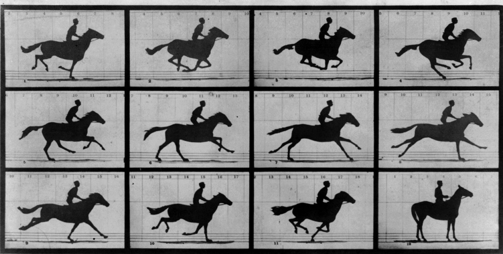 <ul><li><p>sets up multiple cameras attached to a trip wire to get contiguous photos; looks like moving images</p></li><li><p>showed society that during a gallop there is a point where none of the horse’s hooves touch the ground</p></li><li><p>scientific side of photography</p></li></ul><p></p>
