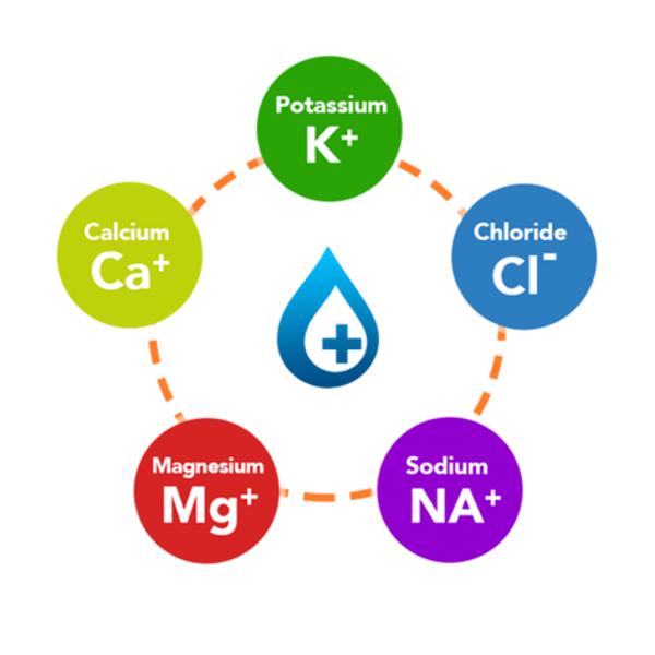 <p>Dissolved ionic compounds in plasma, including sodium, chloride, bicarbonate, potassium, calcium, magnesium, and phosphate, that help maintain the body's fluid balance and pH levels.</p>