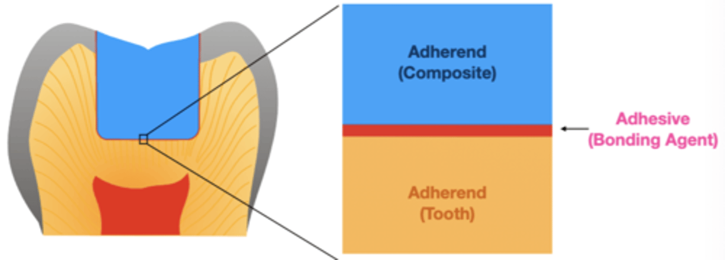 <p>adherend</p>