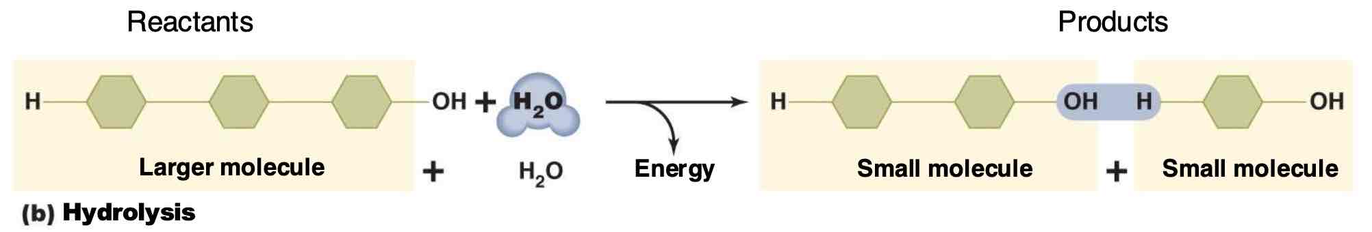 <p>Break bonds in large compounds to create smaller atoms/ molecules</p>