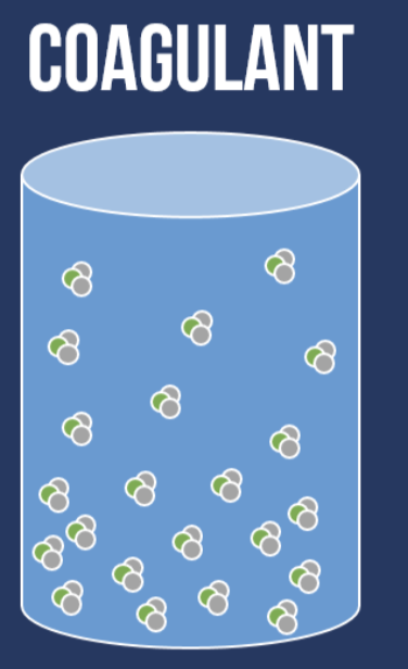 <p><strong>Coagulate</strong></p>