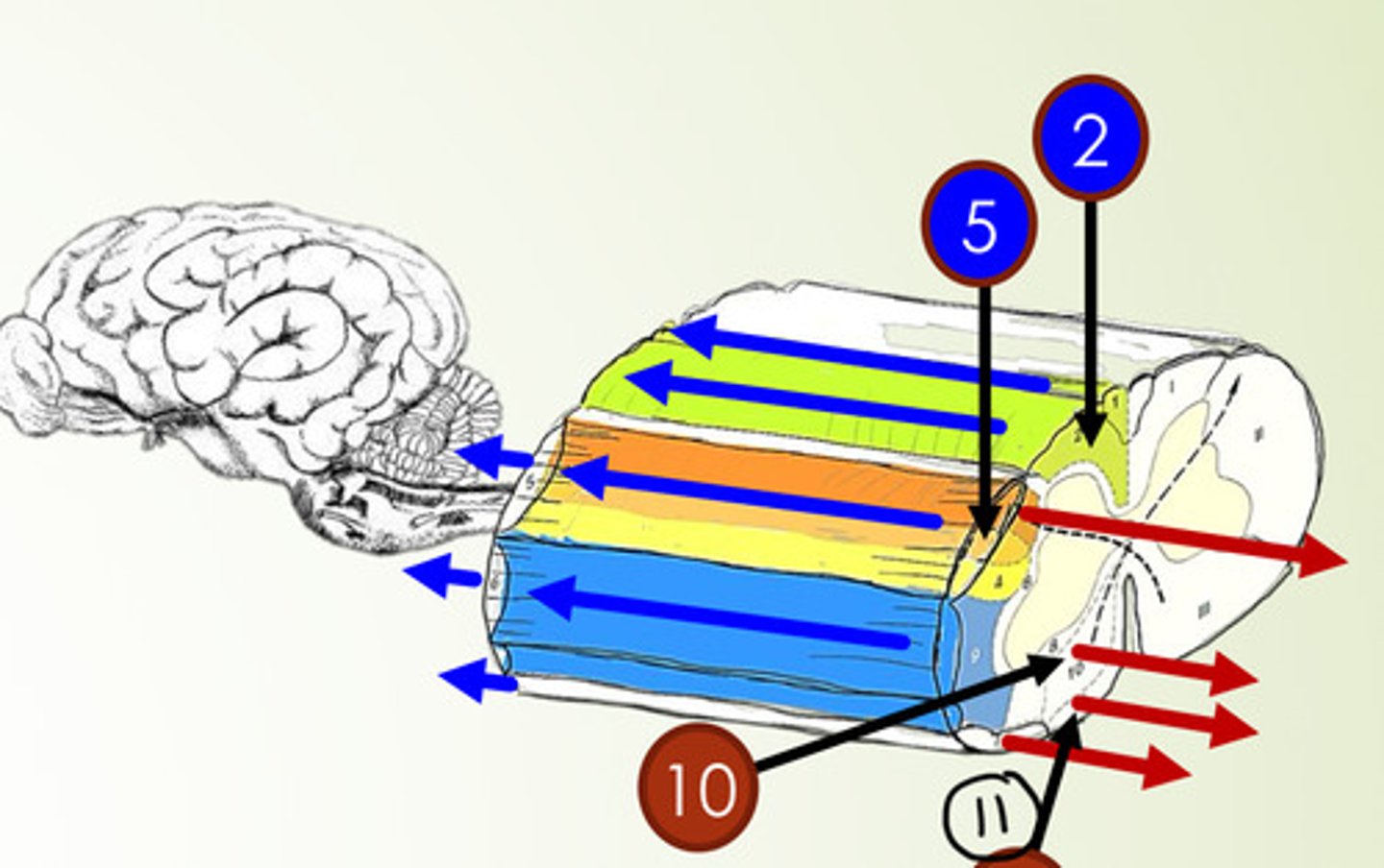 <p>What is 2?</p>