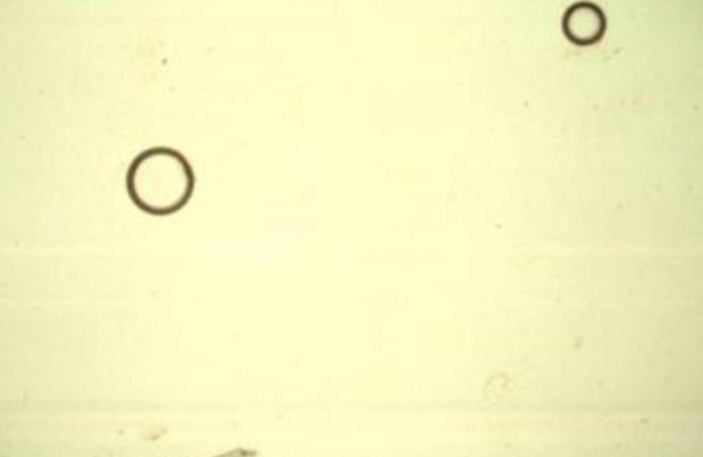 <p>artifacts</p>
