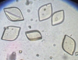 <p>Rhombic four sided flat plates with wedges and a rosette</p>