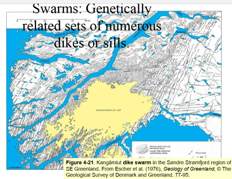 <p><span style="color: #000000">Genetically related sets of numerous dikes or sills</span></p>