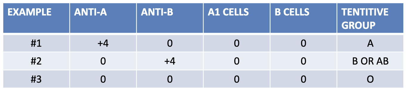 <p>which example presents a patient with hypogammaglobuinemia?</p>