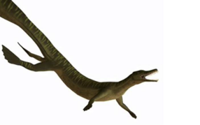 <p>mesosaur</p>