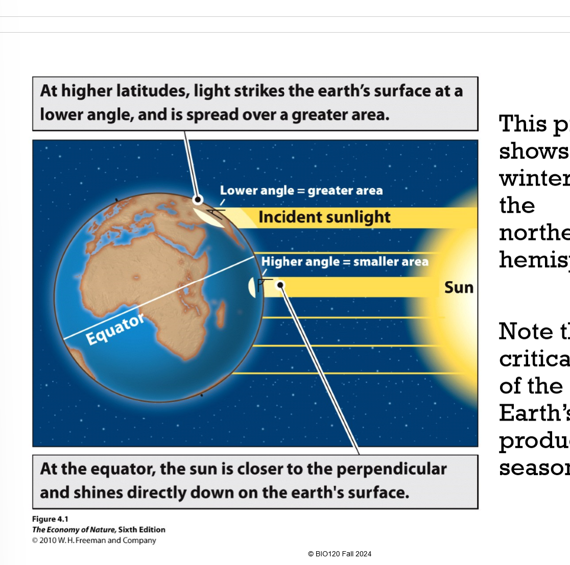 <p>Sunlight strikes higher latitudes at an angle, dispersing the light and thus reducing the focus and the temperature increase</p><p>Sunlight strikes southern latitudes at a perpendicular angle, therefore having more focused light, thus doing more to increase the temperature </p>