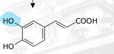 <p>[Phenolic Compounds] Lignins What intermediate of sinapic acid is being described  Step 4 carcinogenic inhibitor; antioxidant</p>