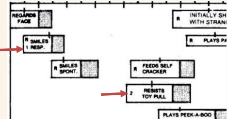 <p>FOOTNOTES </p>