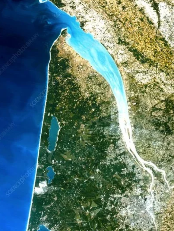 <p>What are the two main sediment transport mechanism here?</p>