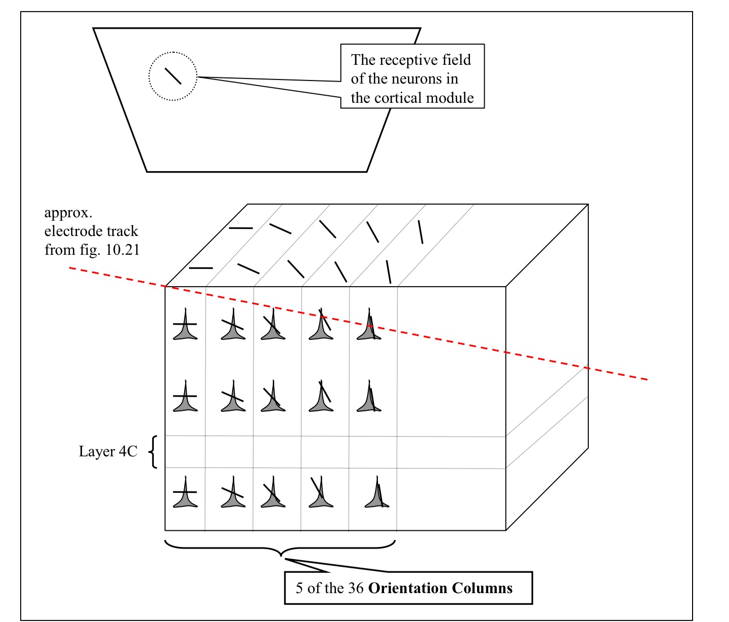 <p>What does this diagram depict ?</p>