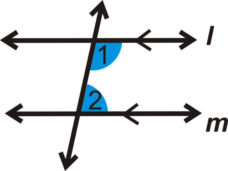 <p>Same side of the transversal, inside the parallel lines</p>