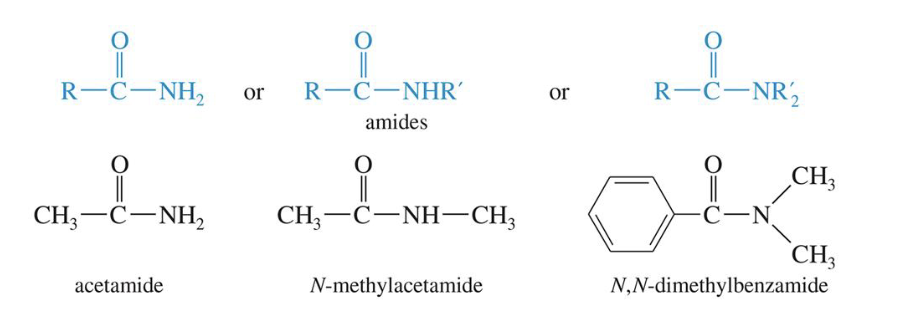 <p>Derivatives that result from a combination of an acid with ammonia or an amine</p>