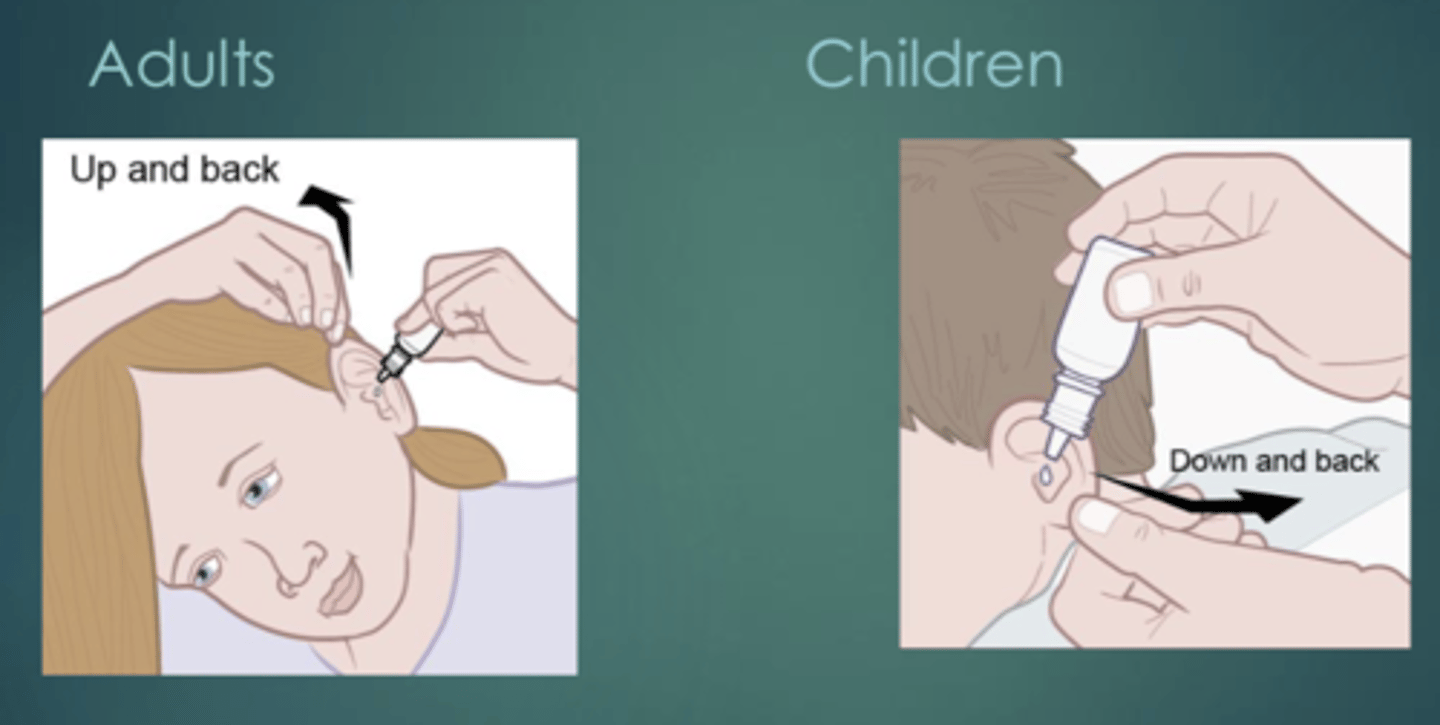 <p>Adult: backward and upward</p><p>Children: backward and downward</p>