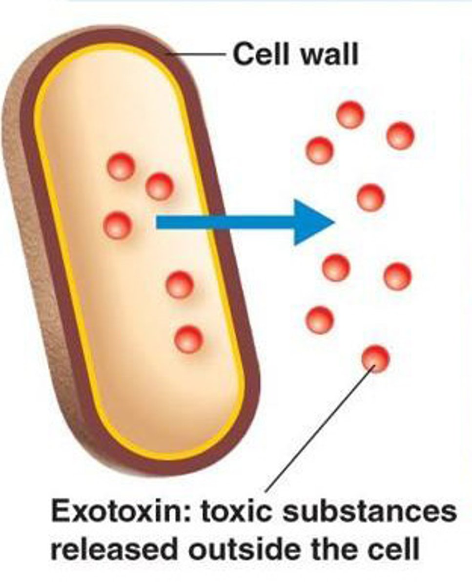 <p>Toxic substances that pathogens secrete into their environment</p>