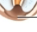 <p>what is this?</p>