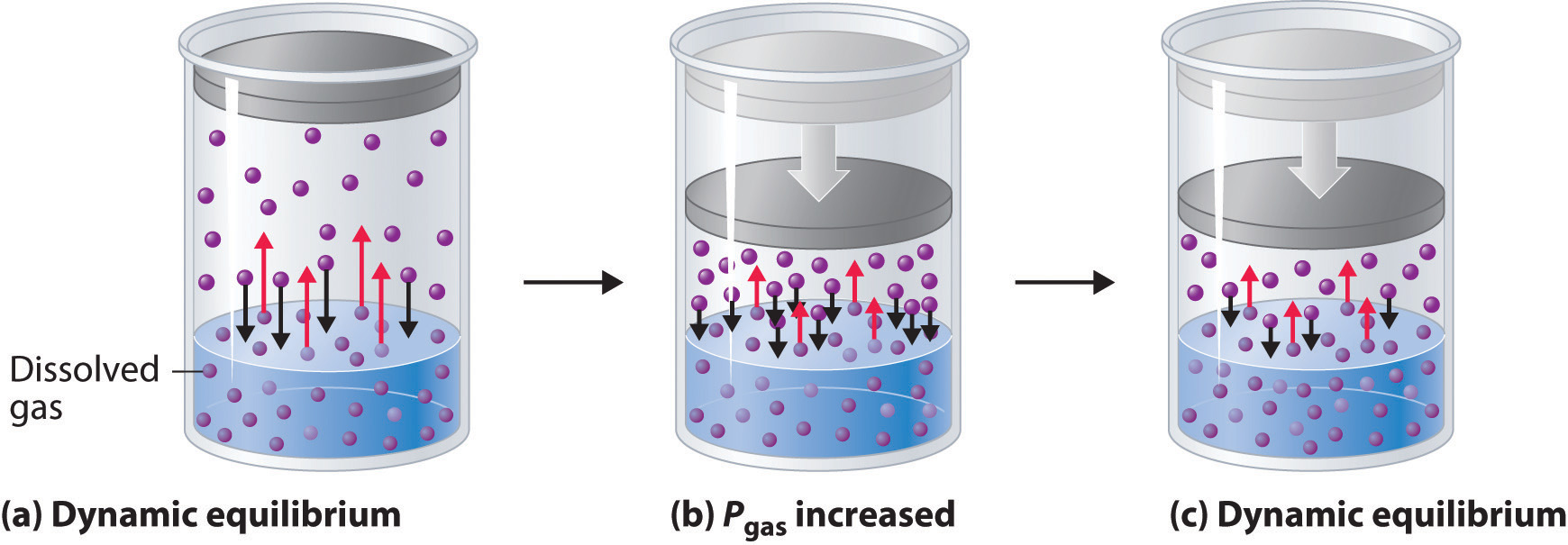 <ol><li><p>As temperature increases, the solubility increases</p><ol><li><p>Solvent molecules interact with solute more frequently to separate the ions (overcome IMFS)</p></li></ol></li><li><p>As temperature decreases, the solubility decreases</p><ol><li><p>Solvent molecules interact with solute less frequently to separate the ions (overcome IMFs)</p></li></ol></li></ol><ul><li><p>DIRECT RELATIONSHIP, ONE INCREASES THE OTHER INCREASES AND VICE VERSA</p></li></ul><p></p><p></p><p></p>