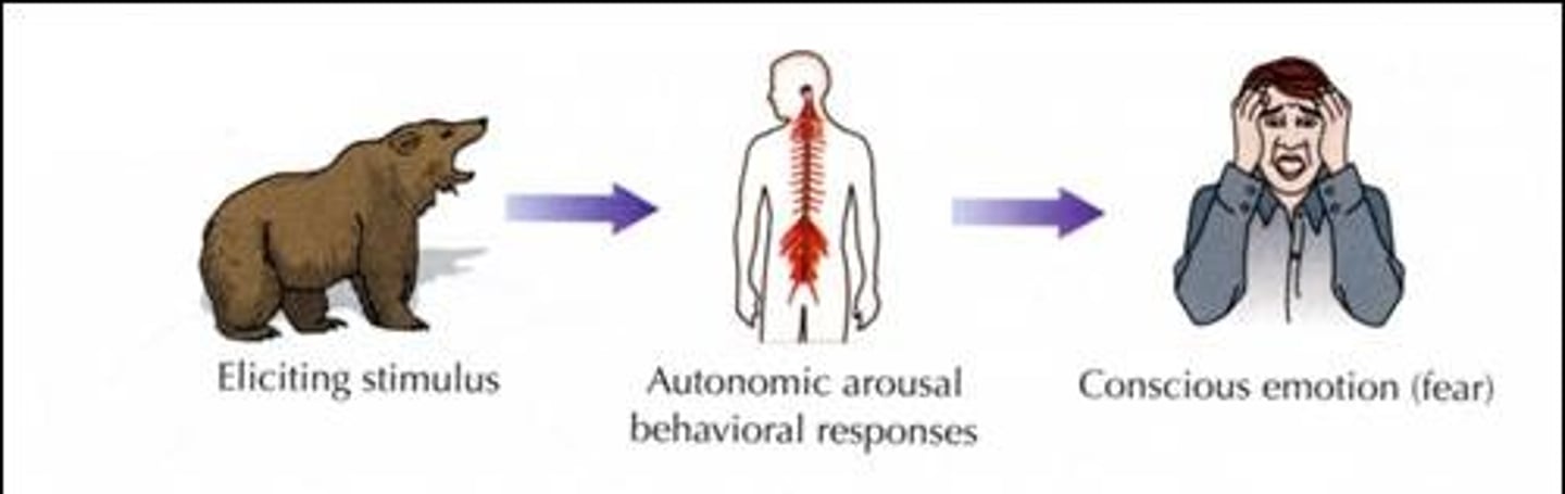 <p>states that emotions stem from the physiological arousal that is triggered by an emotion-eliciting stimulus</p>