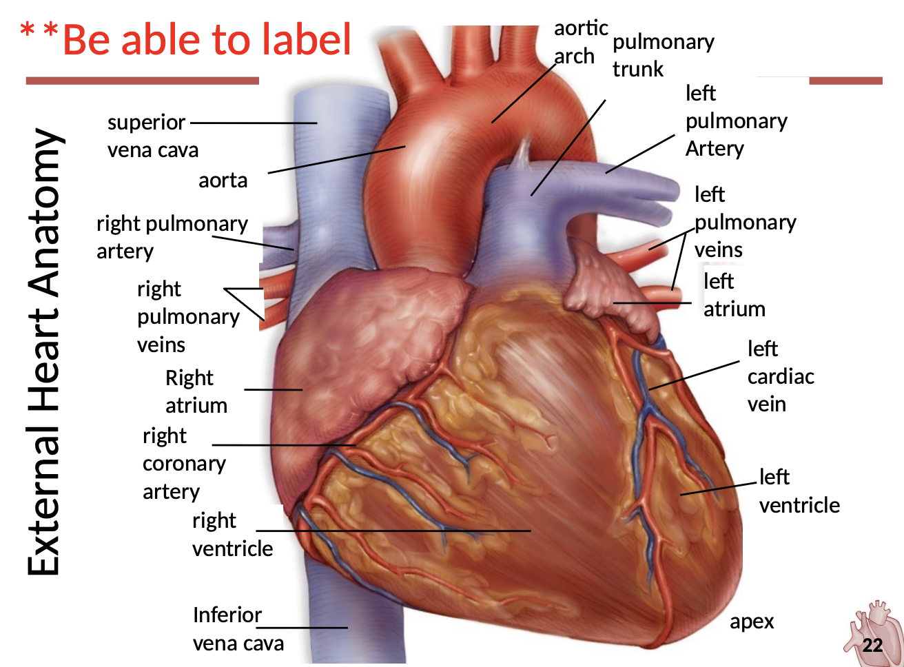 <p>Label the picture </p>