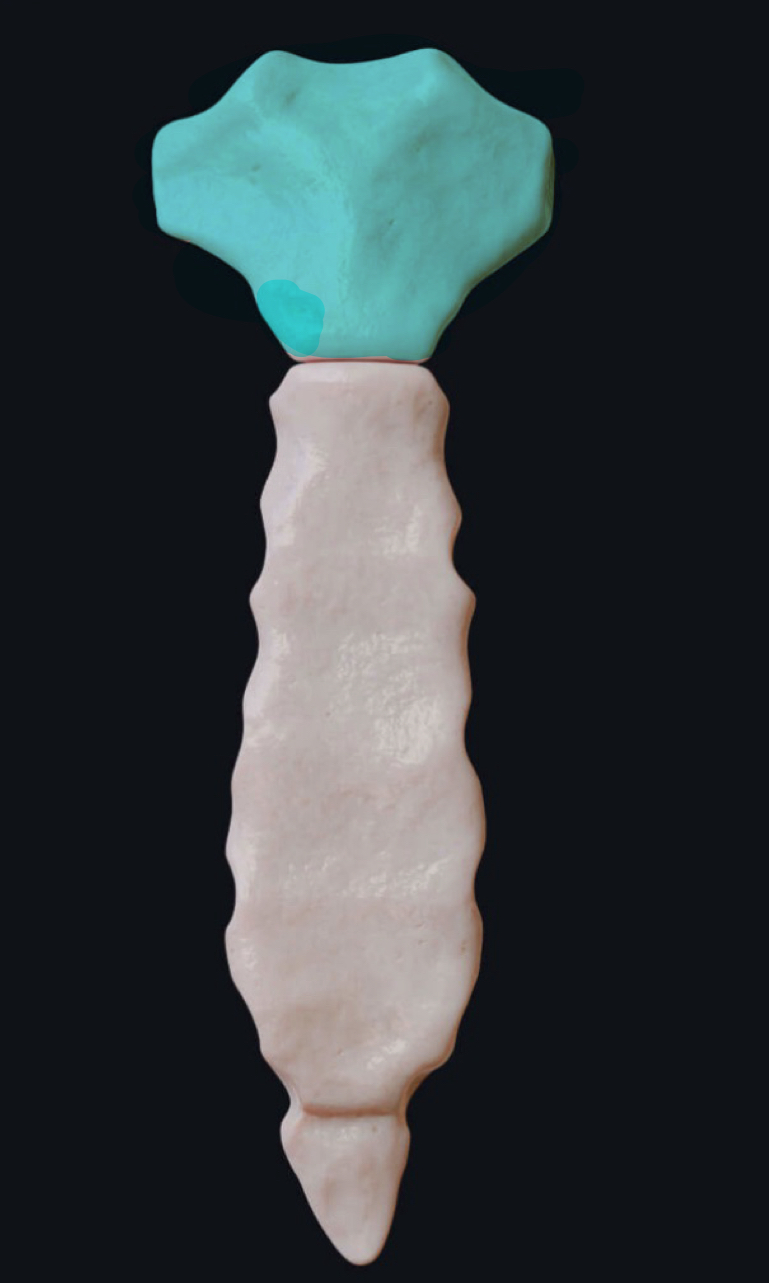 knowt flashcard image