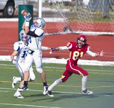 <p class="ds-markdown-paragraph">(Sports) Catching a pass or ball intended for an opponent.</p><p><br></p>