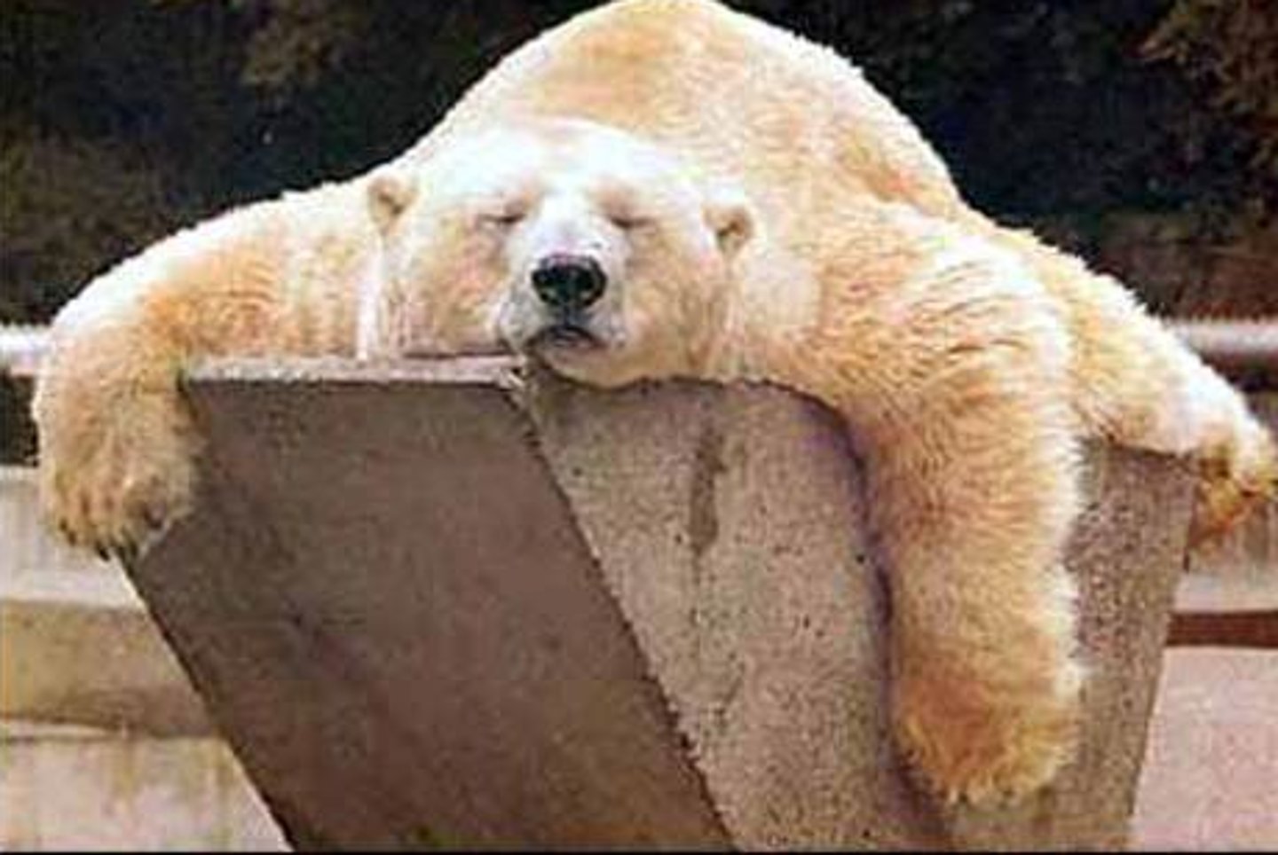 <p>uể oải, chậm rãi | Ex: She moved in a languid way.</p>