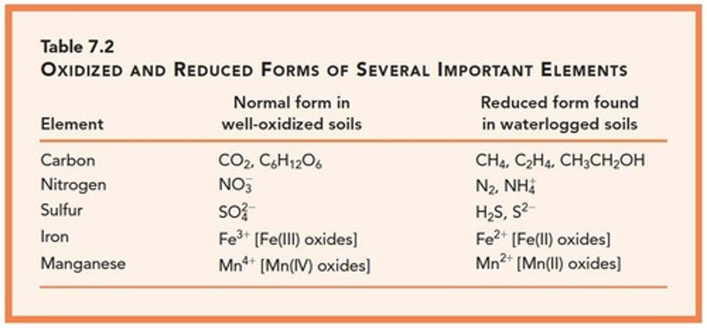 <p>The sequence of electron acceptors includes oxygen, nitrogen, manganese, iron, sulfur, and carbon.</p>