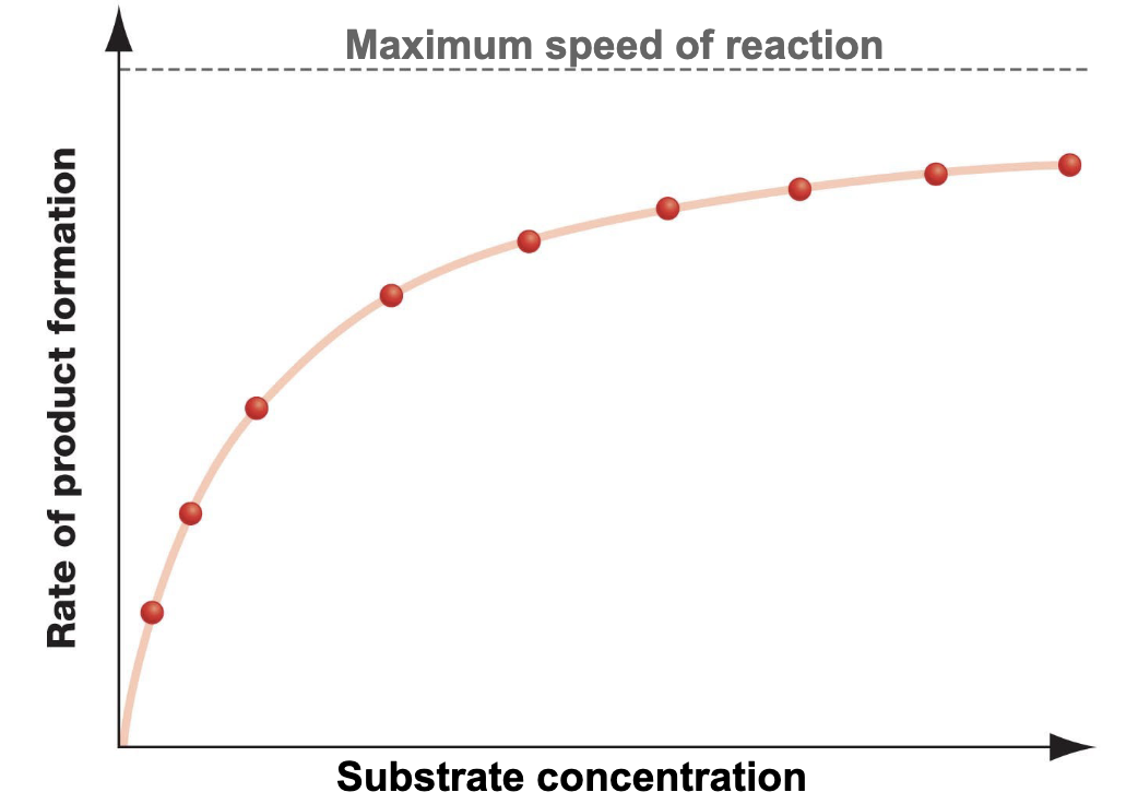 <p>All binding sites are occupied</p>