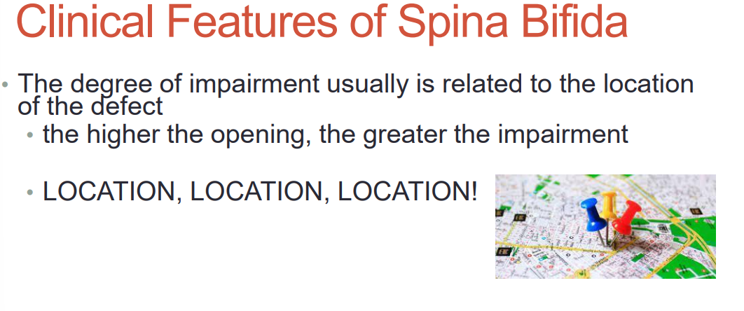 <p>degree related to LOCATION of defect</p><p>higher of the opening, the greater the impairment </p>